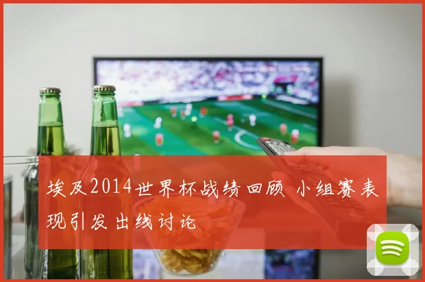 埃及2014世界杯战绩回顾 小组赛表现引发出线讨论