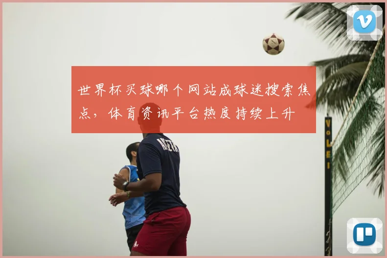 世界杯买球哪个网站成球迷搜索焦点，体育资讯平台热度持续上升