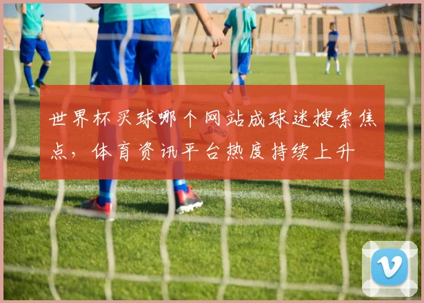 世界杯买球哪个网站成球迷搜索焦点，体育资讯平台热度持续上升