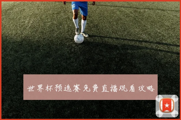 世界杯预选赛免费直播观看攻略