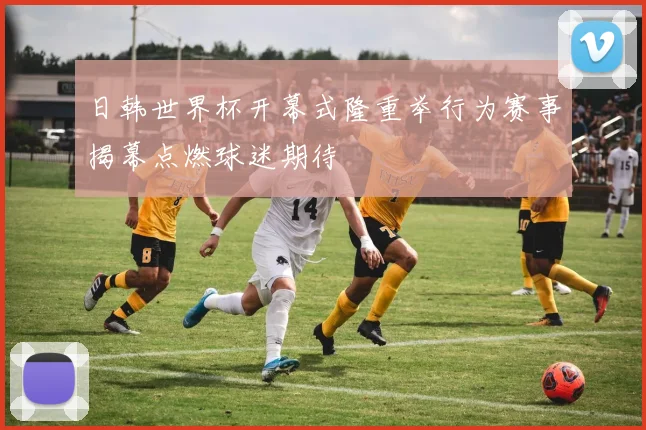 日韩世界杯开幕式隆重举行为赛事揭幕点燃球迷期待