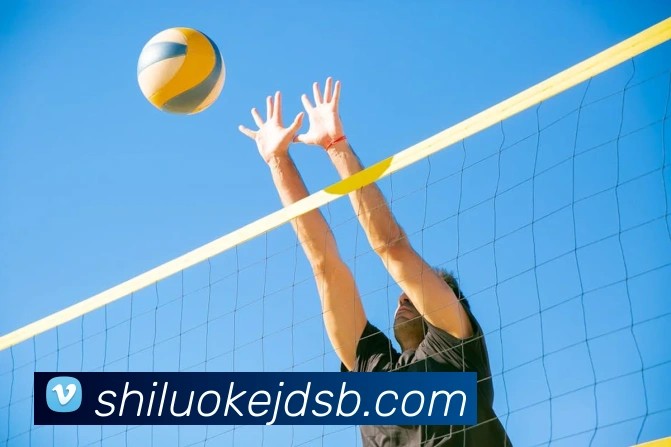 环亚体育APP 封面图