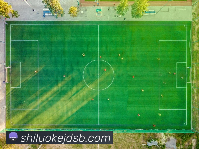 数据防护可视化